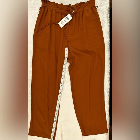 Eileen Fisher MUSK Tencel/Viscose Crepe Straight Pant Size PM $238 NWOT - Picture 6 of 7